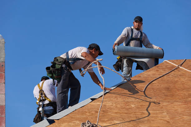 Best Roof Repair Services  in Lansing, KS