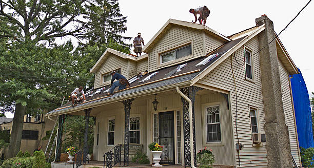 Best Gutter Installation and Roofing  in Lansing, KS