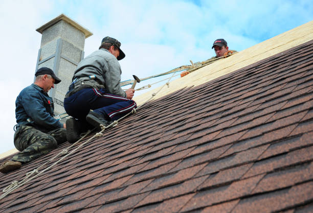 Best Roof Gutter Cleaning  in Lansing, KS